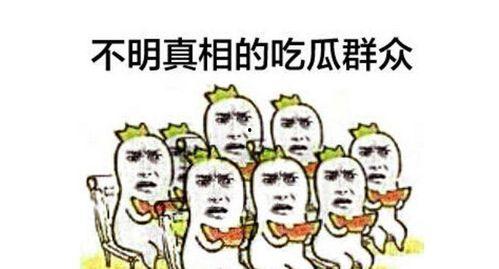 吃瓜群众 51,揭秘娱乐圈背后的故事
